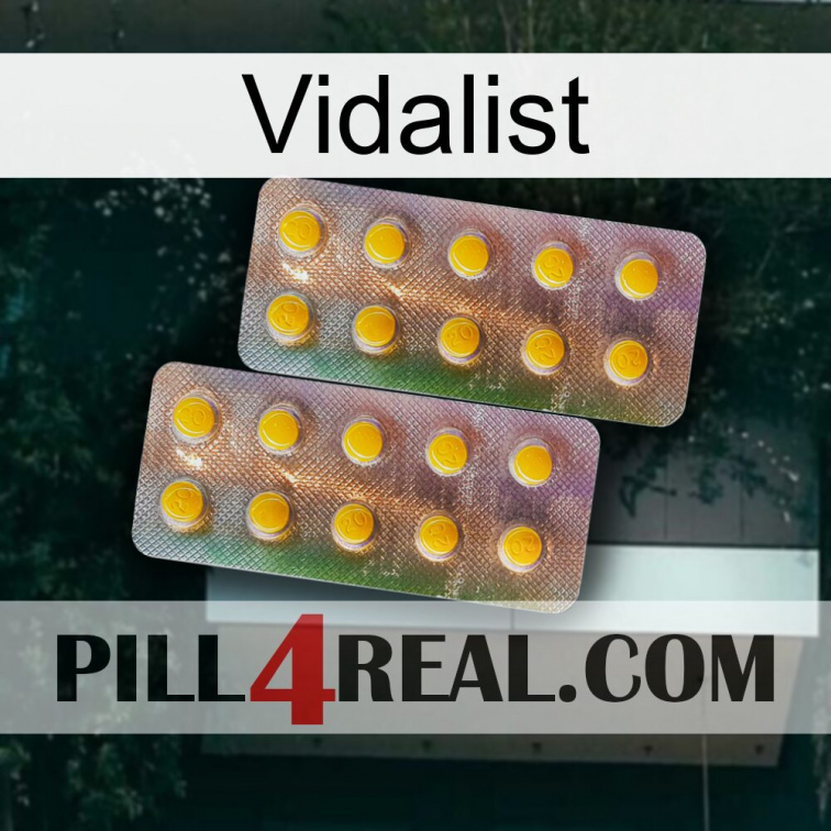 Vidalist new10